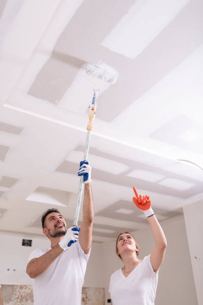 Best Environmental Consulting for Mold Prevention  in Grandview, MO