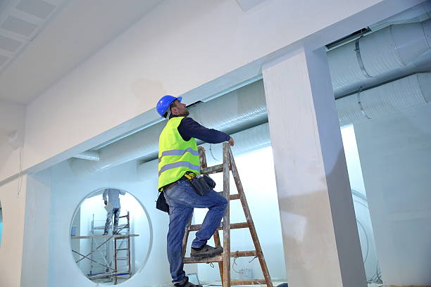 Best Commercial Mold Inspection  in Grandview, MO