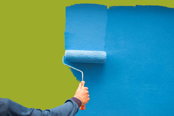 Grandview, MO Mold Removal Company